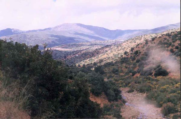 pic11