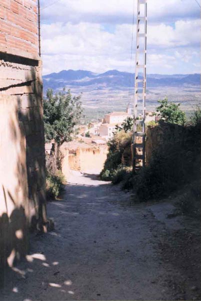 pic21