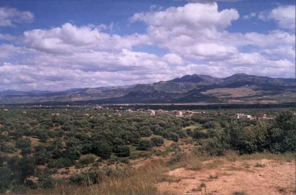 pic5