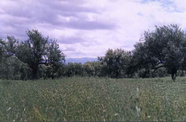 pic7