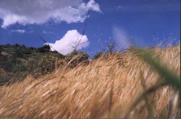 pic8