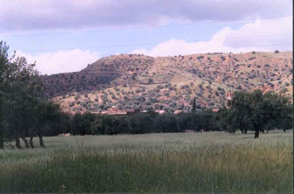 pic9